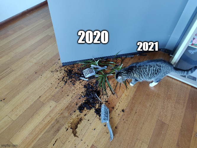 2020 in a nutshell | 2020; 2021 | image tagged in 2020 sucks | made w/ Imgflip meme maker