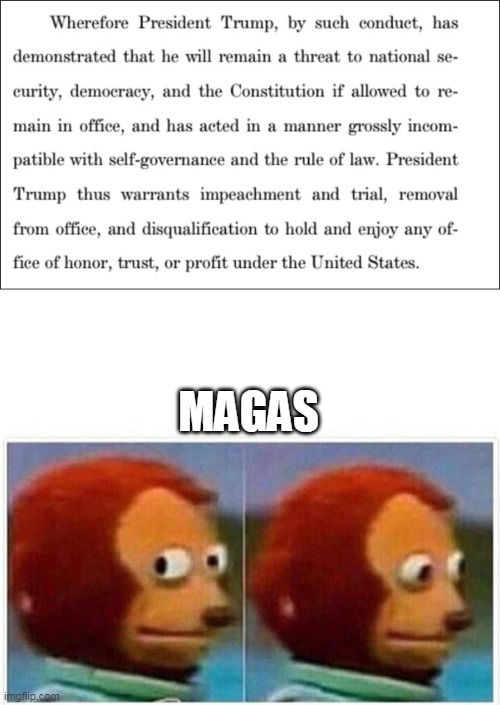 You claim to love America, try proving it by backing the peaceful transfer of power that makes us special | MAGAS | image tagged in memes,monkey puppet | made w/ Imgflip meme maker