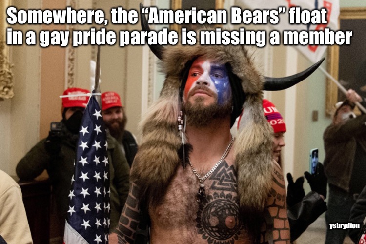 American Bears | Somewhere, the “American Bears” float in a gay pride parade is missing a member; ysbrydion | image tagged in capitol,bears,gaypride | made w/ Imgflip meme maker