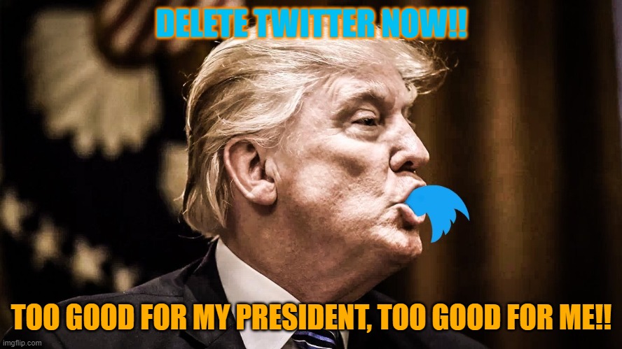 Trump Twitter | DELETE TWITTER NOW!! TOO GOOD FOR MY PRESIDENT, TOO GOOD FOR ME!! | image tagged in trump twitter | made w/ Imgflip meme maker