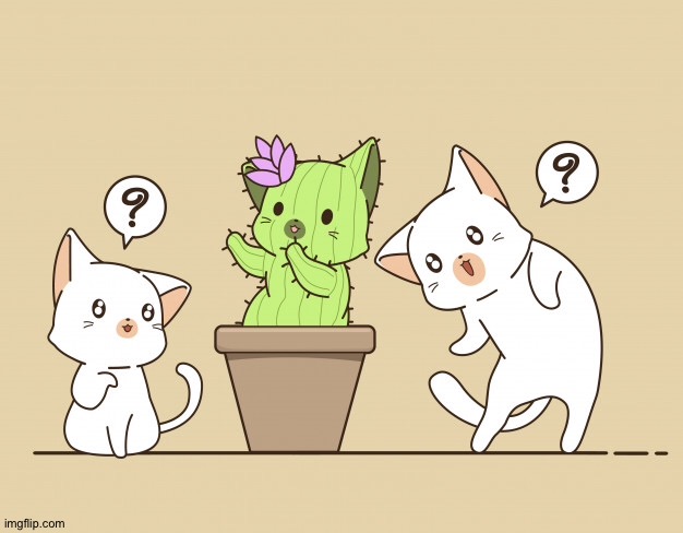 Cactus cat | image tagged in funny,cats,animals | made w/ Imgflip meme maker