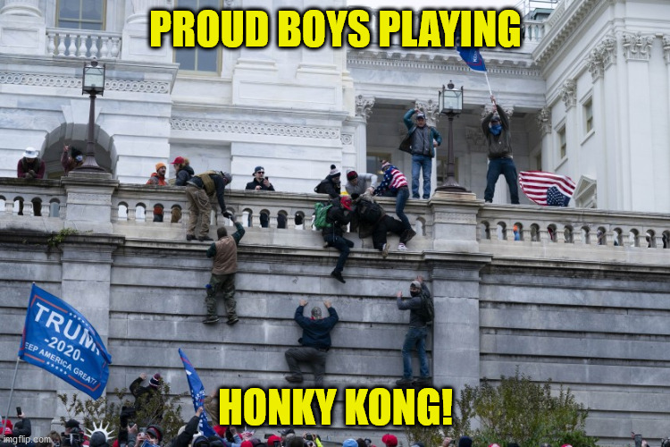 Capitol Wall Climbers | PROUD BOYS PLAYING; HONKY KONG! | image tagged in capitol wall climbers | made w/ Imgflip meme maker