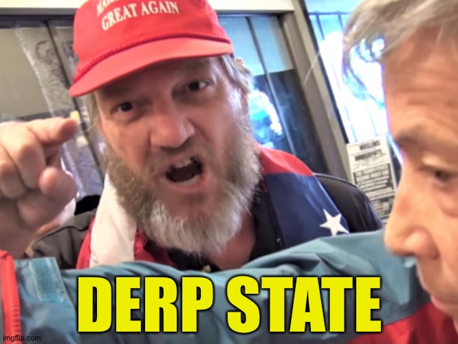Angry Trump Supporter | DERP STATE | image tagged in angry trump supporter | made w/ Imgflip meme maker