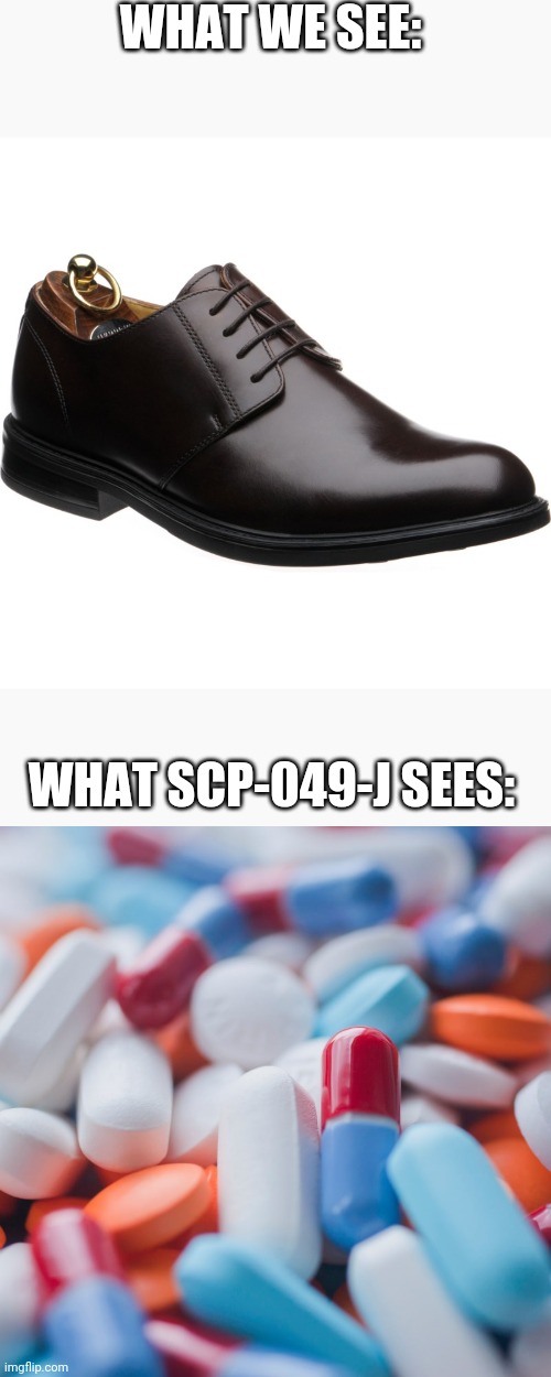 WHAT WE SEE:; WHAT SCP-049-J SEES: | image tagged in scp meme,scp,shoes,scp-049 | made w/ Imgflip meme maker