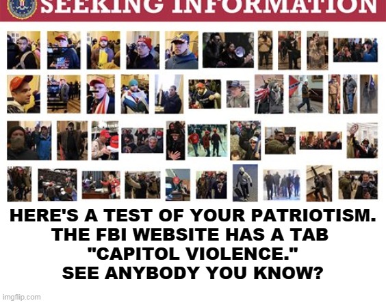 Stand Up For America. Take back the country from heavily-armed morons. | HERE'S A TEST OF YOUR PATRIOTISM.
THE FBI WEBSITE HAS A TAB 
"CAPITOL VIOLENCE."
SEE ANYBODY YOU KNOW? | image tagged in trump,qanon,right wing,terrorists,riots,fbi | made w/ Imgflip meme maker