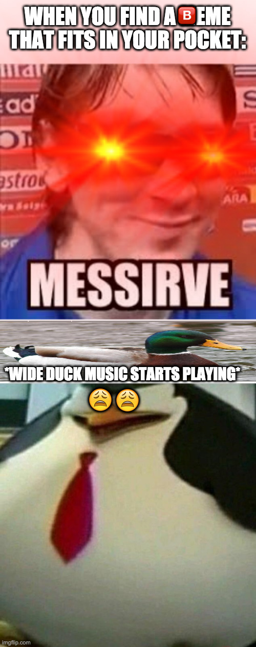 🅱️; WHEN YOU FIND A MEME THAT FITS IN YOUR POCKET:; 😩; 😩; *WIDE DUCK MUSIC STARTS PLAYING* | image tagged in messirve,thicc skipper | made w/ Imgflip meme maker