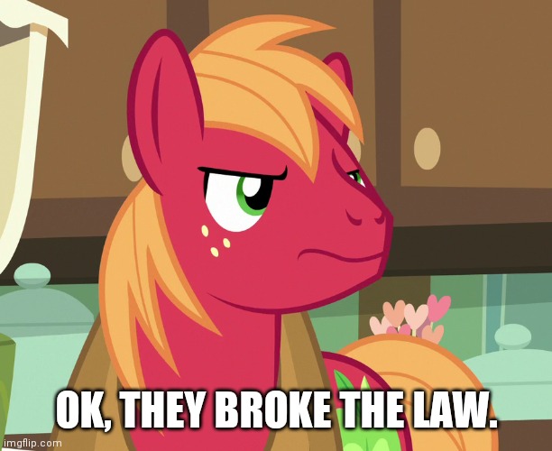 Big Macintosh's Not Displeased (MLP) | OK, THEY BROKE THE LAW. | image tagged in big macintosh's not displeased mlp | made w/ Imgflip meme maker