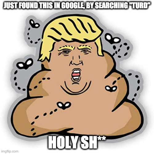 i didn't create it so, trump, go to destroy google | JUST FOUND THIS IN GOOGLE, BY SEARCHING "TURD"; HOLY SH** | image tagged in holy shit,this is not okie dokie | made w/ Imgflip meme maker