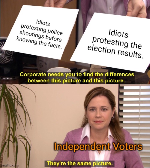 Don't be a party idiot. | Idiots protesting police shootings before knowing the facts. Idiots protesting the election results. Independent Voters | image tagged in memes,they're the same picture,political revolution,independent | made w/ Imgflip meme maker