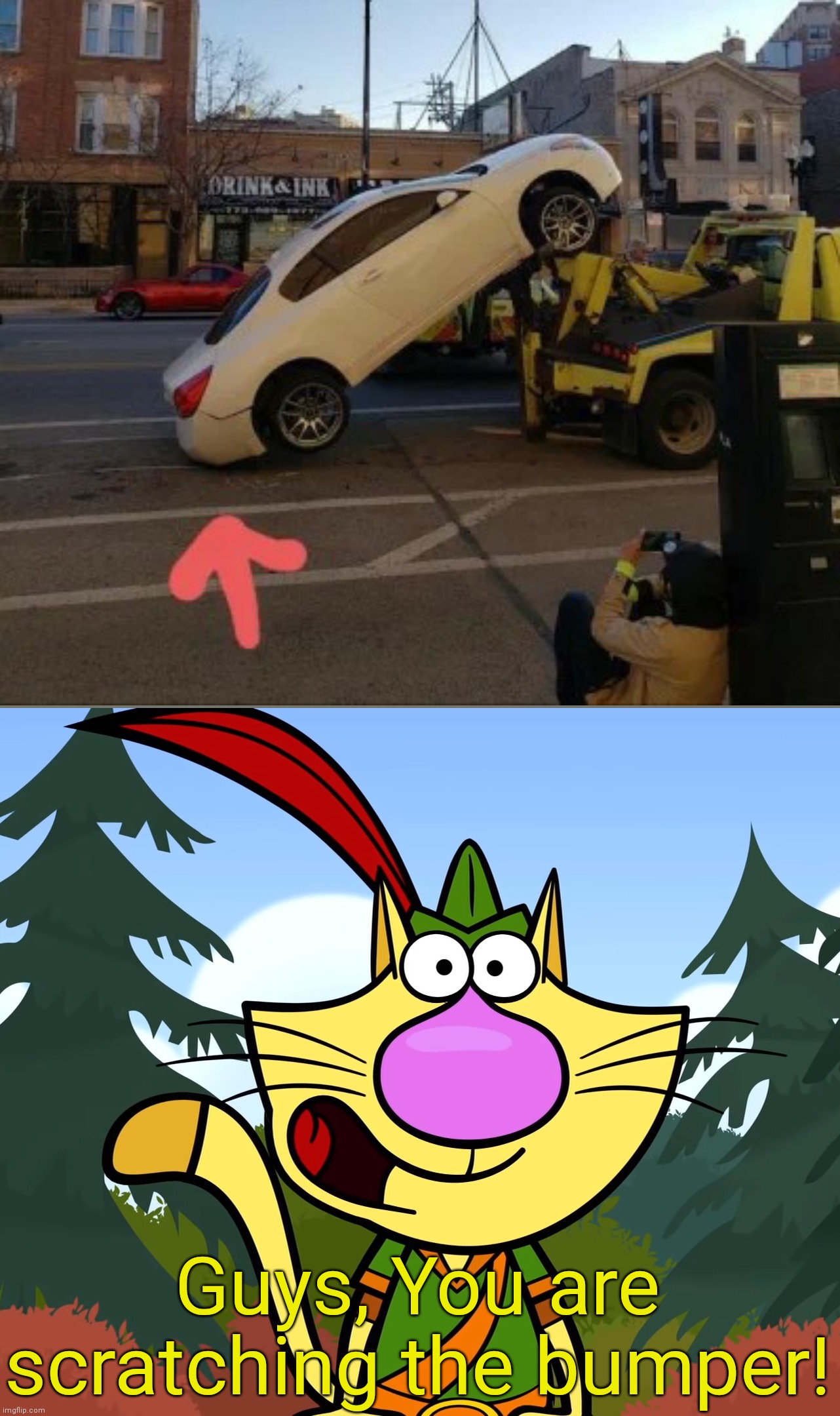 Oh No! Not again! | Guys, You are scratching the bumper! | image tagged in no way nature cat,you had one job,task failed successfully,stupid people,funny,cars | made w/ Imgflip meme maker