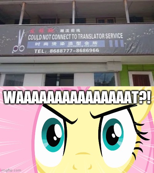 Ok, This thing is bumming me out. | WAAAAAAAAAAAAAAAT?! | image tagged in fluttershy's stare mlp,you had one job,translation,task failed successfully,stupid signs,funny | made w/ Imgflip meme maker