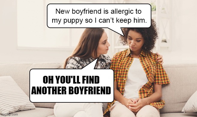 I'm allergic | OH YOU'LL FIND ANOTHER BOYFRIEND | image tagged in insanity puppy,boyfriend | made w/ Imgflip meme maker