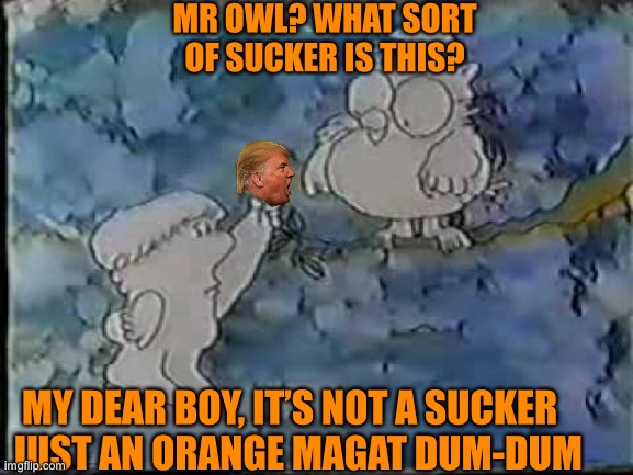 MR OWL? WHAT SORT OF SUCKER IS THIS? MY DEAR BOY, IT’S NOT A SUCKER 
 JUST AN ORANGE MAGAT DUM-DUM | made w/ Imgflip meme maker