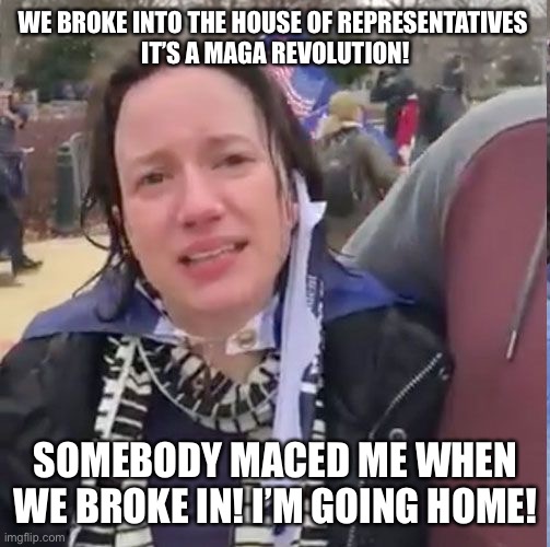 The Snowflake Revolution | WE BROKE INTO THE HOUSE OF REPRESENTATIVES 
IT’S A MAGA REVOLUTION! SOMEBODY MACED ME WHEN WE BROKE IN! I’M GOING HOME! | image tagged in donald trump,maga,revolution,snowflakes,crying,losers | made w/ Imgflip meme maker