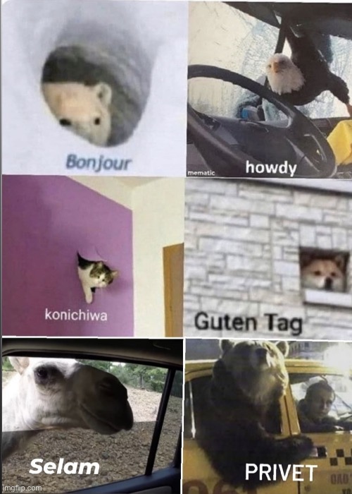 Bonjour howdy konichiwa guten tag Selam privet | image tagged in bonjour howdy konichiwa guten tag selam privet | made w/ Imgflip meme maker