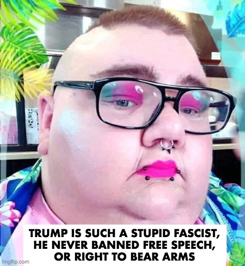 Calling Trump a fascist, is an insult to fascists. | TRUMP IS SUCH A STUPID FASCIST,
HE NEVER BANNED FREE SPEECH,
OR RIGHT TO BEAR ARMS | image tagged in donald trump,fascism,free speech,2nd amendment | made w/ Imgflip meme maker