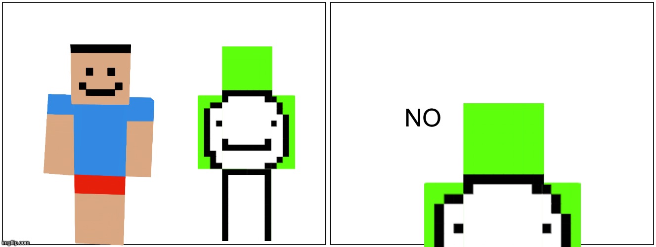 Blank Comic Panel 2x1 Meme | NO | image tagged in memes,blank comic panel 2x1 | made w/ Imgflip meme maker