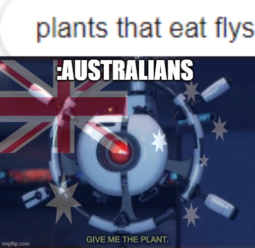 gimme the venus fly trap | :AUSTRALIANS | image tagged in give me the plant,australians,flies | made w/ Imgflip meme maker