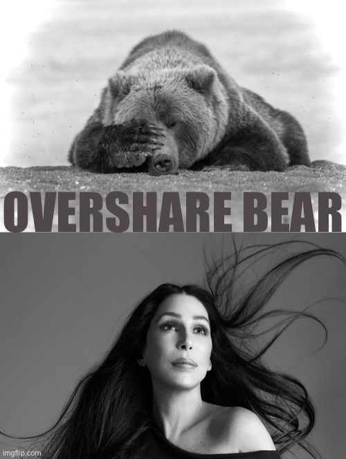 Over Cher Bare | OVERSHARE BEAR | image tagged in funny memes,bad jokes,bad puns,overshare,cher | made w/ Imgflip meme maker