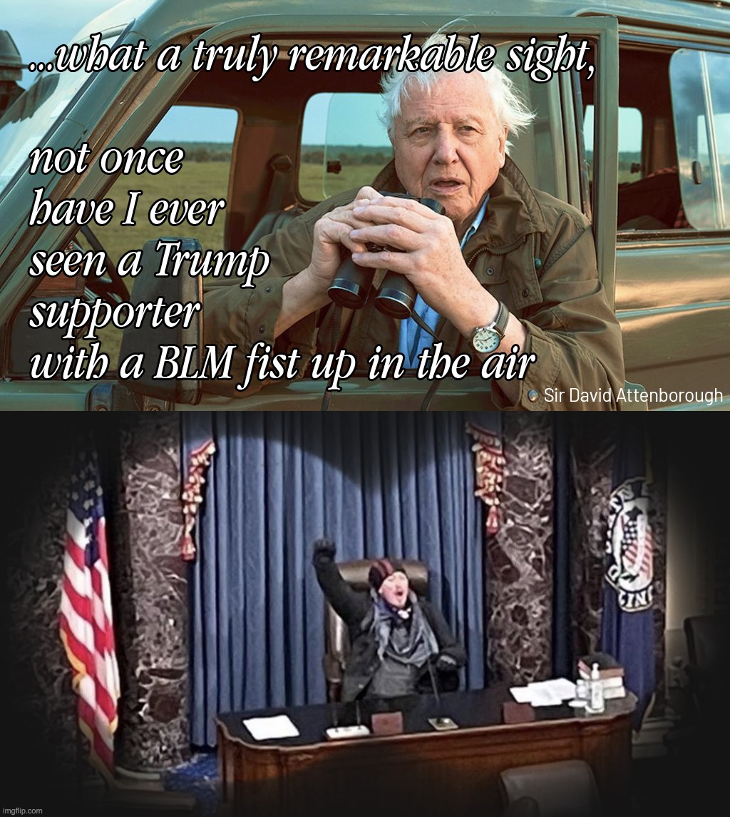 Sir David Attenborough // DC Safari | image tagged in washington dc,jan 6,capitol | made w/ Imgflip meme maker