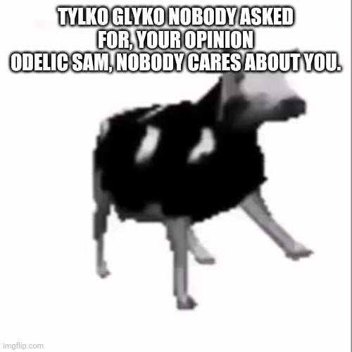dancing polish cow | TYLKO GLYKO NOBODY ASKED FOR, YOUR OPINION
ODELIC SAM, NOBODY CARES ABOUT YOU. | image tagged in dancing polish cow | made w/ Imgflip meme maker