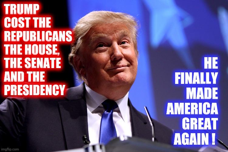 His Absence Was All We Needed | TRUMP COST THE 
REPUBLICANS THE HOUSE, 
THE SENATE 
AND THE 
PRESIDENCY; HE FINALLY MADE AMERICA GREAT AGAIN ! | image tagged in donald trump no2,memes,trump unfit unqualified dangerous,liar in chief,trump lies,lock him up | made w/ Imgflip meme maker