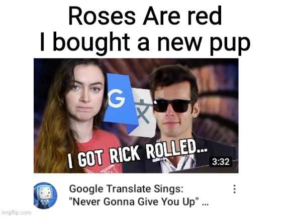 Roses Are red
I bought a new pup | image tagged in rick roll | made w/ Imgflip meme maker