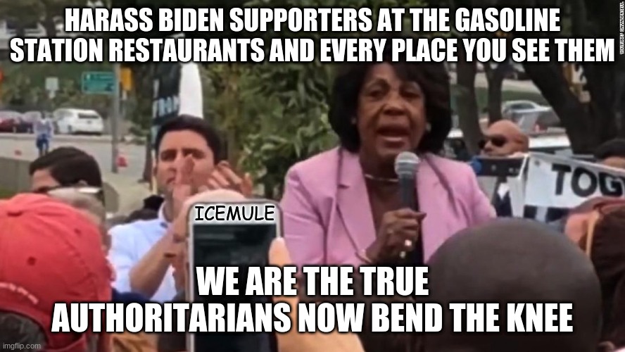  HARASS BIDEN SUPPORTERS AT THE GASOLINE STATION RESTAURANTS AND EVERY PLACE YOU SEE THEM; ICEMULE; WE ARE THE TRUE AUTHORITARIANS NOW BEND THE KNEE | image tagged in american politics | made w/ Imgflip meme maker