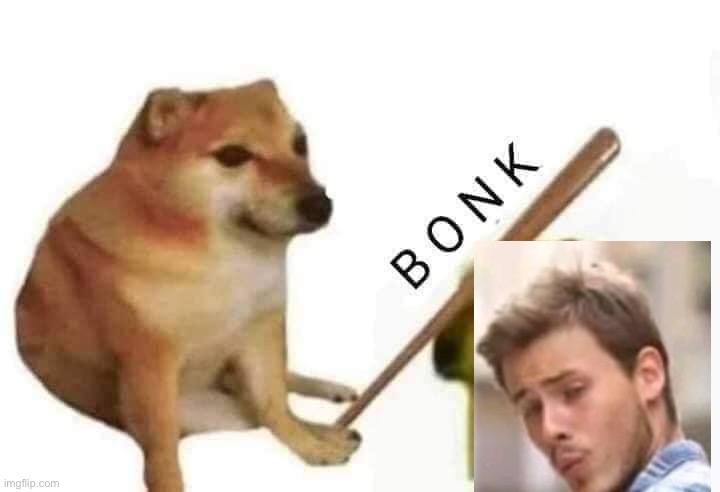 Doge bonk | image tagged in doge bonk | made w/ Imgflip meme maker