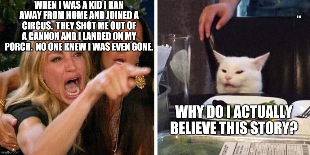 Smudge the cat | WHEN I WAS A KID I RAN AWAY FROM HOME AND JOINED A CIRCUS.  THEY SHOT ME OUT OF A CANNON AND I LANDED ON MY PORCH.  NO ONE KNEW I WAS EVEN GONE. J M; WHY DO I ACTUALLY BELIEVE THIS STORY? | image tagged in smudge the cat | made w/ Imgflip meme maker