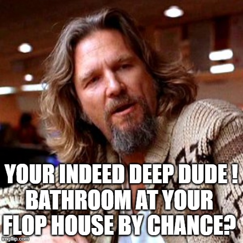 Confused Lebowski Meme | YOUR INDEED DEEP DUDE ! BATHROOM AT YOUR FLOP HOUSE BY CHANCE? | image tagged in memes,confused lebowski | made w/ Imgflip meme maker