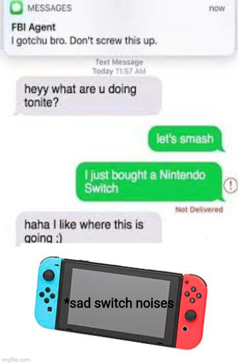 But I wanted to play Smash Bros | *sad switch noises | image tagged in blank white template | made w/ Imgflip meme maker