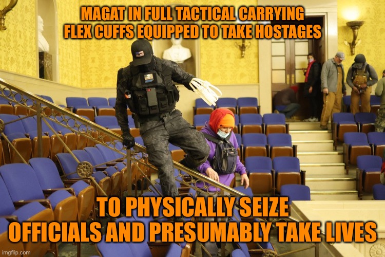 MAGAT IN FULL TACTICAL CARRYING FLEX CUFFS EQUIPPED TO TAKE HOSTAGES TO PHYSICALLY SEIZE OFFICIALS AND PRESUMABLY TAKE LIVES | made w/ Imgflip meme maker