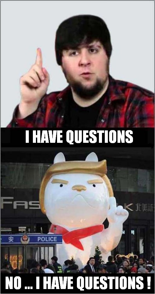 They Have Questions |  I HAVE QUESTIONS; NO ... I HAVE QUESTIONS ! | image tagged in fun,i have several questions | made w/ Imgflip meme maker