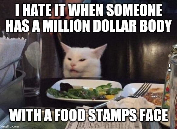 Salad cat | I HATE IT WHEN SOMEONE HAS A MILLION DOLLAR BODY; J M; WITH A FOOD STAMPS FACE | image tagged in salad cat | made w/ Imgflip meme maker