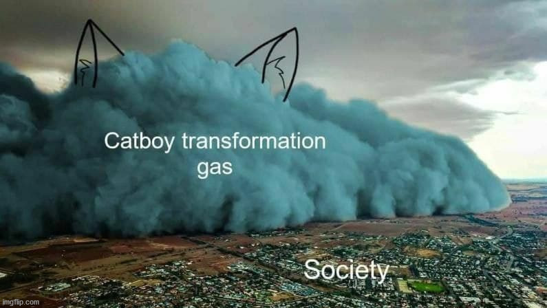 Is this a reference to my favourite furry game "changed" ? | image tagged in catboy transformation | made w/ Imgflip meme maker