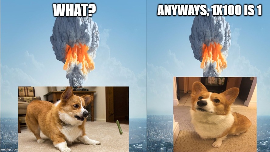 THIS is my first template but this is the meme i made | WHAT? ANYWAYS, 1X100 IS 1 | image tagged in chaotic corgi | made w/ Imgflip meme maker