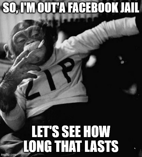 monkey smoke zip | SO, I'M OUT'A FACEBOOK JAIL; LET'S SEE HOW LONG THAT LASTS | image tagged in monkey smoke zip | made w/ Imgflip meme maker
