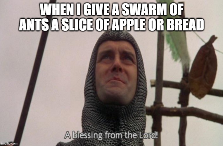 A blessing from the lord | WHEN I GIVE A SWARM OF ANTS A SLICE OF APPLE OR BREAD | image tagged in a blessing from the lord | made w/ Imgflip meme maker