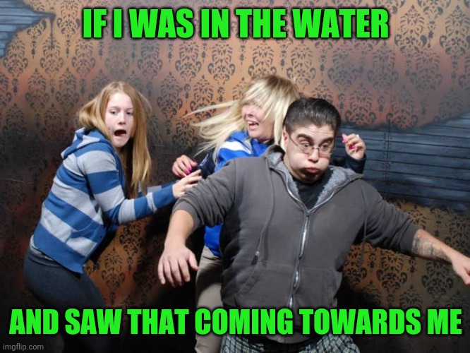 Run | IF I WAS IN THE WATER AND SAW THAT COMING TOWARDS ME | image tagged in run | made w/ Imgflip meme maker