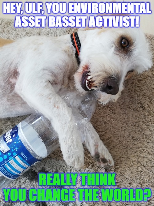 Ulf chewing the bottle | image tagged in ulf,environmental activist,bottle,dog | made w/ Imgflip meme maker
