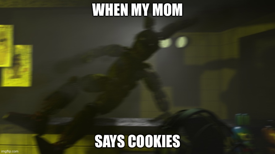 Cookies!!! | WHEN MY MOM; SAYS COOKIES | image tagged in funny,funny memes | made w/ Imgflip meme maker