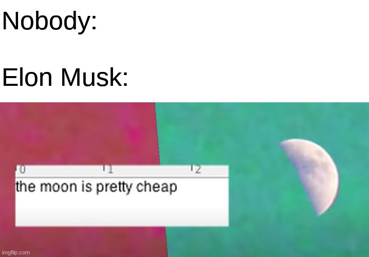 The moon is pretty e x p e n s i v e | Nobody:; Elon Musk: | image tagged in blank white template | made w/ Imgflip meme maker