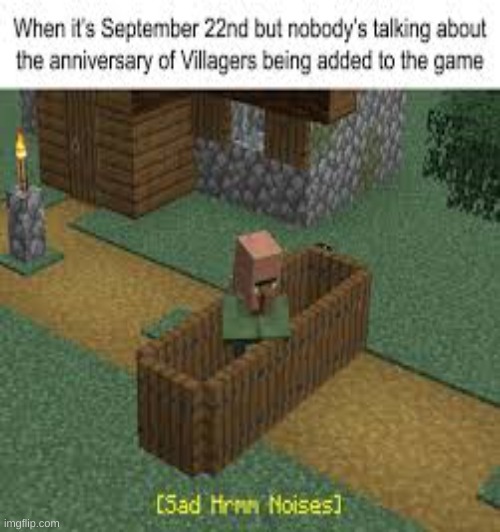 *sad villager sounds* | image tagged in minecraft,villager | made w/ Imgflip meme maker