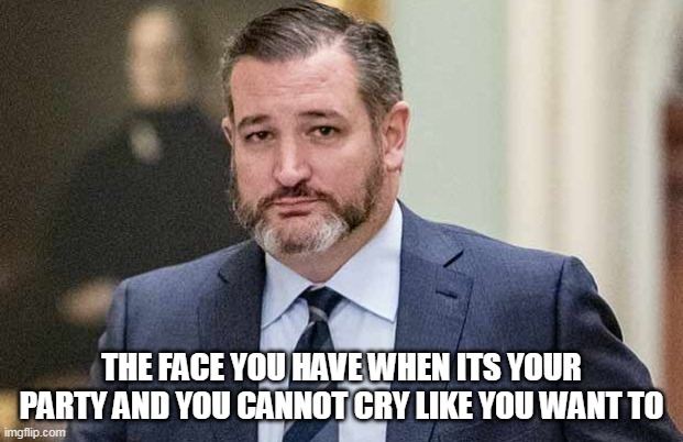 The face you have when its your party and you cannot cry like you want to | THE FACE YOU HAVE WHEN ITS YOUR PARTY AND YOU CANNOT CRY LIKE YOU WANT TO | image tagged in ted cruz,cry,idiot,us capitol,texas | made w/ Imgflip meme maker