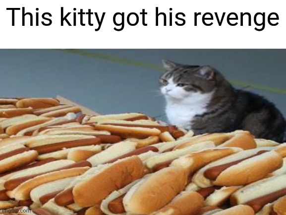 would anyone like some hot "dogs" | This kitty got his revenge | image tagged in revenge,yum | made w/ Imgflip meme maker