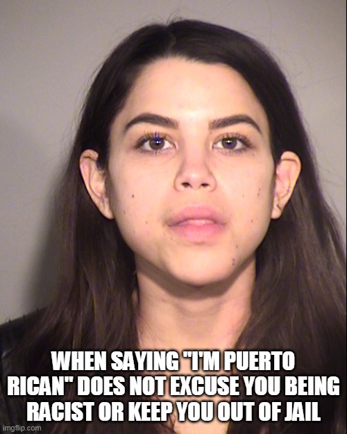 When saying "I'm Puerto Rican" does not excuse you being racist or keep you out of jail | WHEN SAYING "I'M PUERTO RICAN" DOES NOT EXCUSE YOU BEING RACIST OR KEEP YOU OUT OF JAIL | image tagged in soho karen mug shot,soho karen,mugshot,funny,racist,puerto rico | made w/ Imgflip meme maker