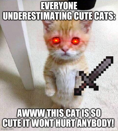 cat | EVERYONE UNDERESTIMATING CUTE CATS:; AWWW THIS CAT IS SO CUTE IT WONT HURT ANYBODY! | image tagged in memes,cute cat,not so friendly | made w/ Imgflip meme maker