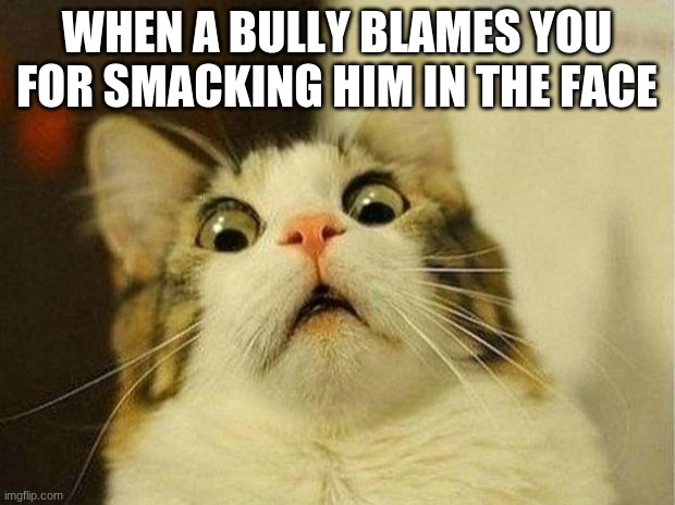 scared cat | WHEN A BULLY BLAMES YOU FOR SMACKING HIM IN THE FACE | image tagged in memes,scared cat | made w/ Imgflip meme maker