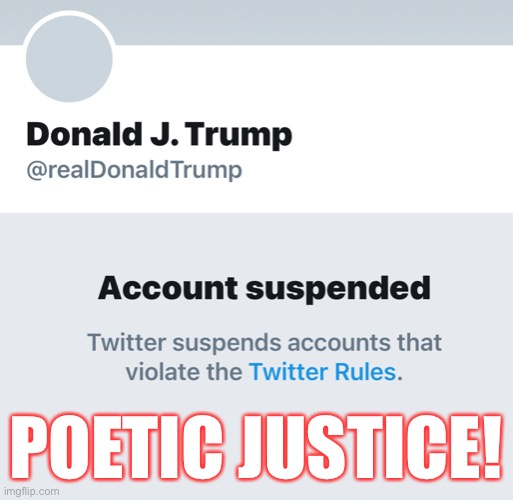 Poetic Justice! | POETIC JUSTICE! | image tagged in poetic justice,donald trump,twitter,con man,extremist,lock him up | made w/ Imgflip meme maker